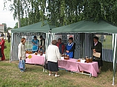 foto 374.jpg